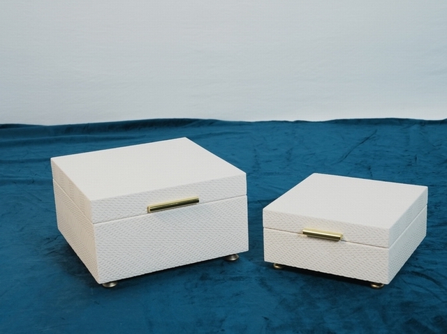 FB09918-S2.JPG